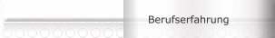 Berufserfahrung
